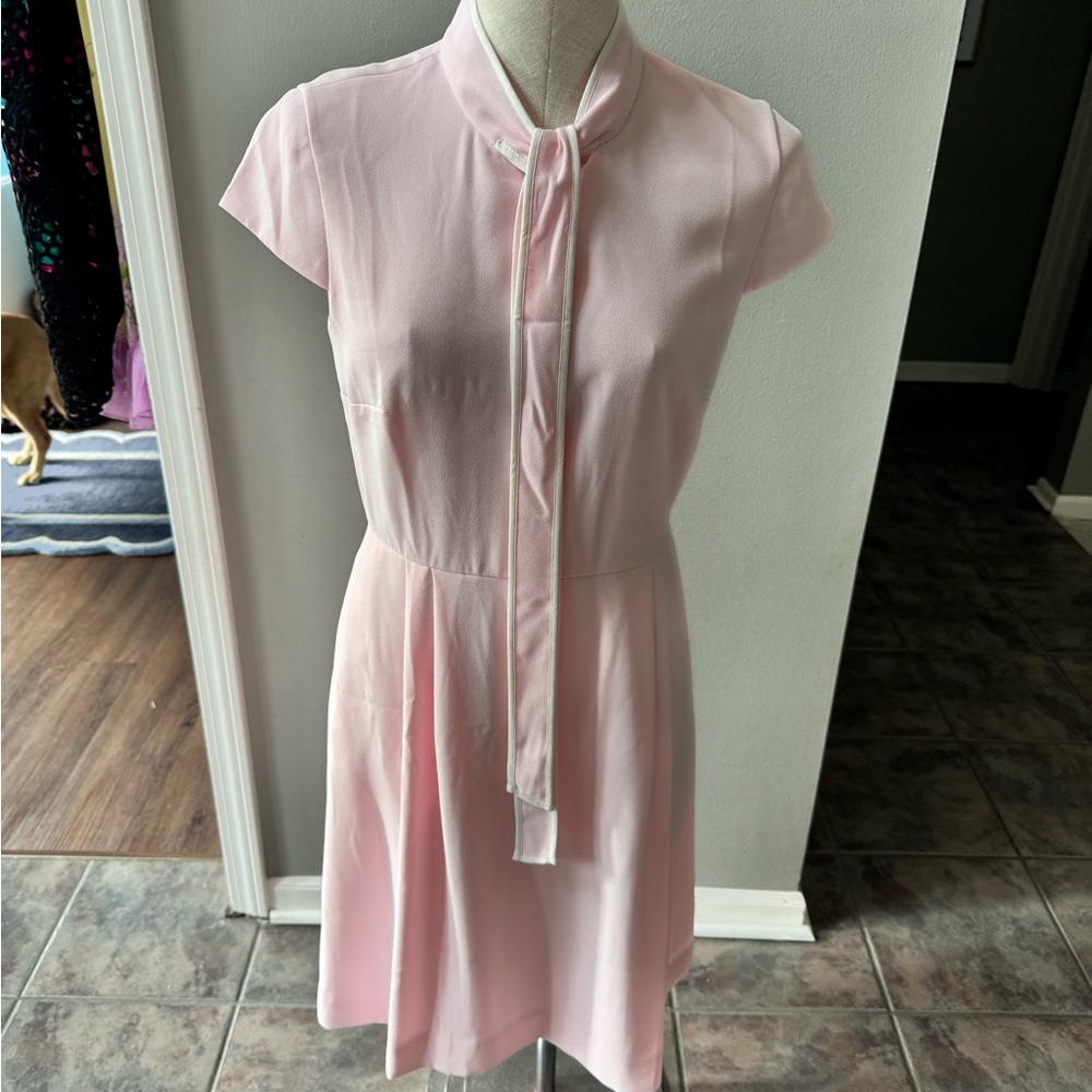 NWT Pink J.Crew Dress